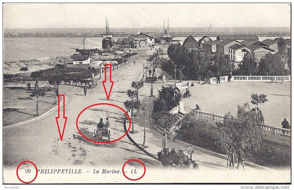 Cp Afrique Algérie PHILIPPEVILLE SKIKDA La Marine / Variété De La Carte LL 99 Avec Charrette Vu De Dos Et Sans L'homme - Skikda (Philippeville)