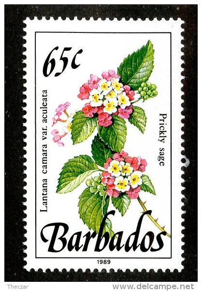 1756x)  Barbados 1989 - Sc # 762  Mnh**  ( Catalogue $1.80) - Barbados (1966-...)