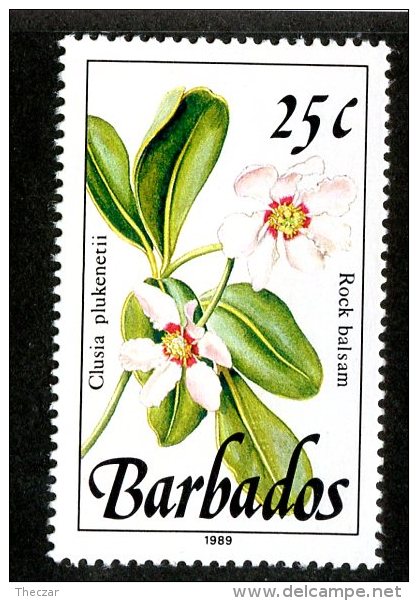 1762x)  Barbados 1989 - Sc # 757  Mnh**  ( Catalogue $1.20) - Barbados (1966-...)