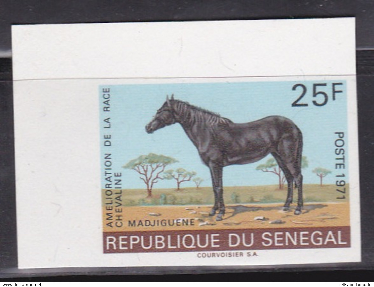 SENEGAL - TIMBRE NON DENTELE ** Avec COIN DE FEUILLE - CHEVAL - Senegal (1960-...)