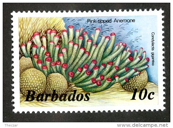 1779x)  Barbados 1985 - Sc # 643  Mnh**  ( Catalogue $1.00) - Barbades (1966-...)