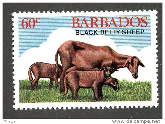 1871x)  Barbados 1981 - Sc # 548  Mnh**  ( Catalogue $.50) - Barbados (1966-...)