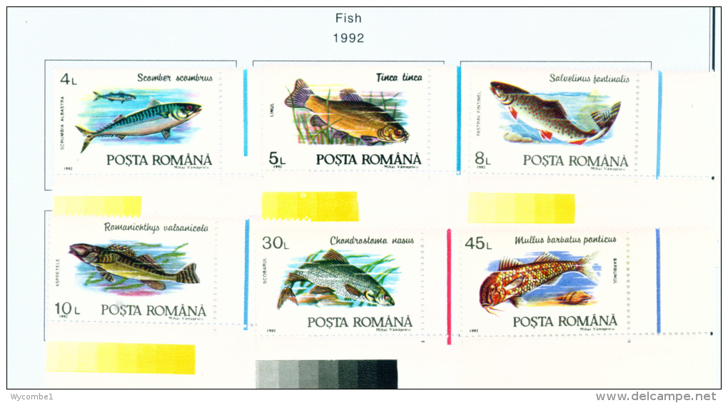 ROMANIA - 1991  Fish  Mounted Mint - Unused Stamps