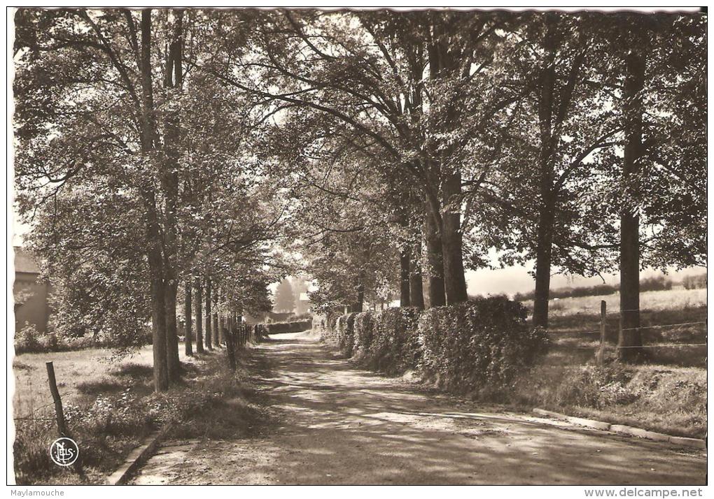 Lavacherie  S Ourthe Allee Des Ecoles - Sainte-Ode