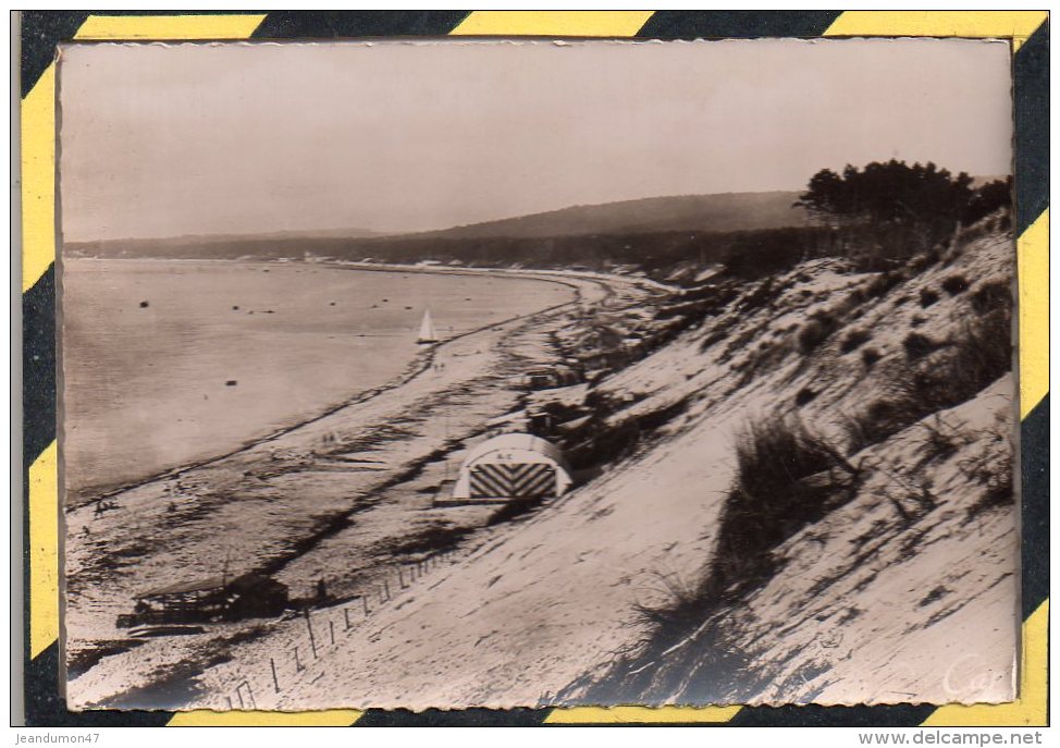 PILAT-PLAGE. - . VUE GENERALE VERS L'ANSE DU MOULLEAU - N° 249 - REAL-PHOTO C.A.P - Arcachon