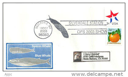 USA.Les Baleines,  Enveloppe Souvenir De Silverdale, Cote Ocean Pacifique - Baleines