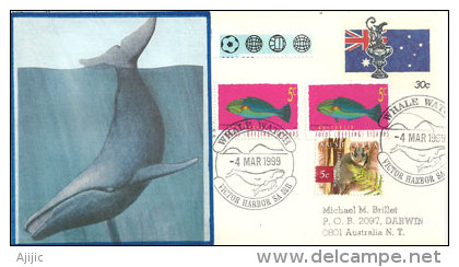 AUSTRALIE. Whale Watching. Victor Harbour (Australie Du Sud), Enveloppe Souvenir - Baleines