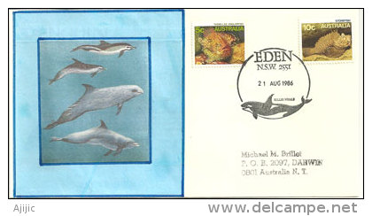 AUSTRALIE. Killer Whale (Orque)  Enveloppe Souvenir D´Eden. New South Wales - Baleines