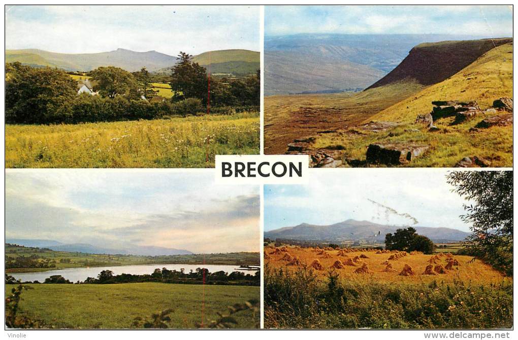 F-13-0976  :   Brecon  The Beacons From Merthyr Road - Breconshire