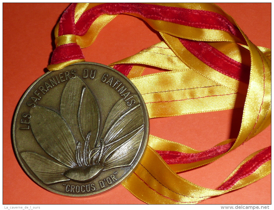 Confrérie, Rare Médaille En Bronze, Les Safraniers Du Gatinais "Crocus D'Or", Corbeilles En Gatinais 45490 - Professionnels / De Société