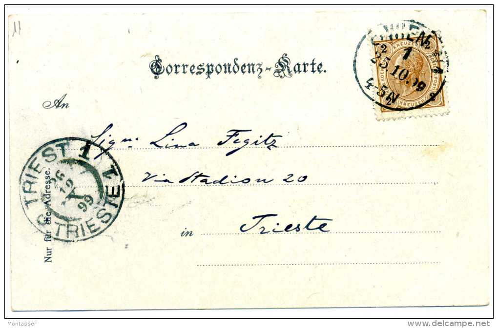 WIEN-VIENNA. Naschmarkt. Posted For TRIESTE 1899. - Wien Mitte