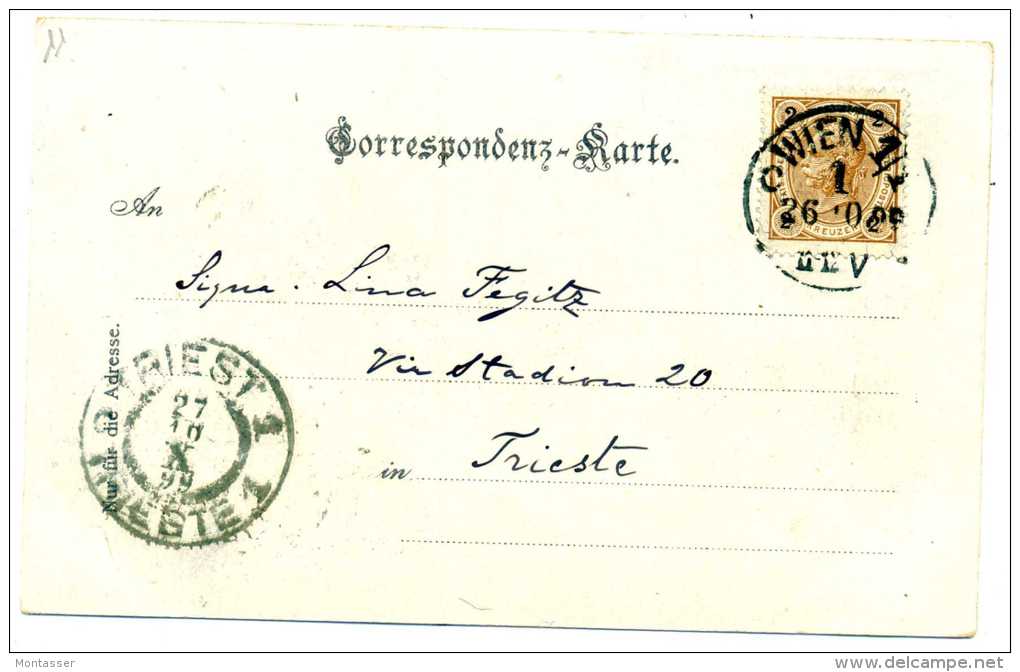 WIEN-VIENNA. Gruss Aus....TRAM. Reichsrathsgebaude. Posted For TRIESTE 1899. - Wien Mitte