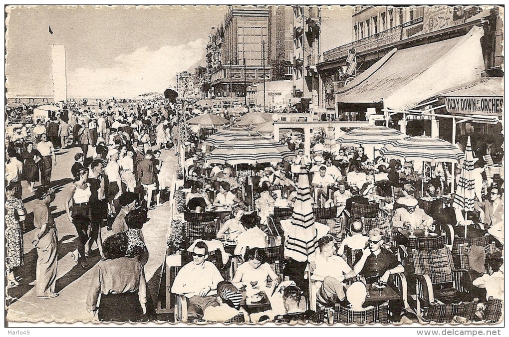 PK. BLANKENBERGE - TERRASSEN OP DE ZEEDIJK - Blankenberge