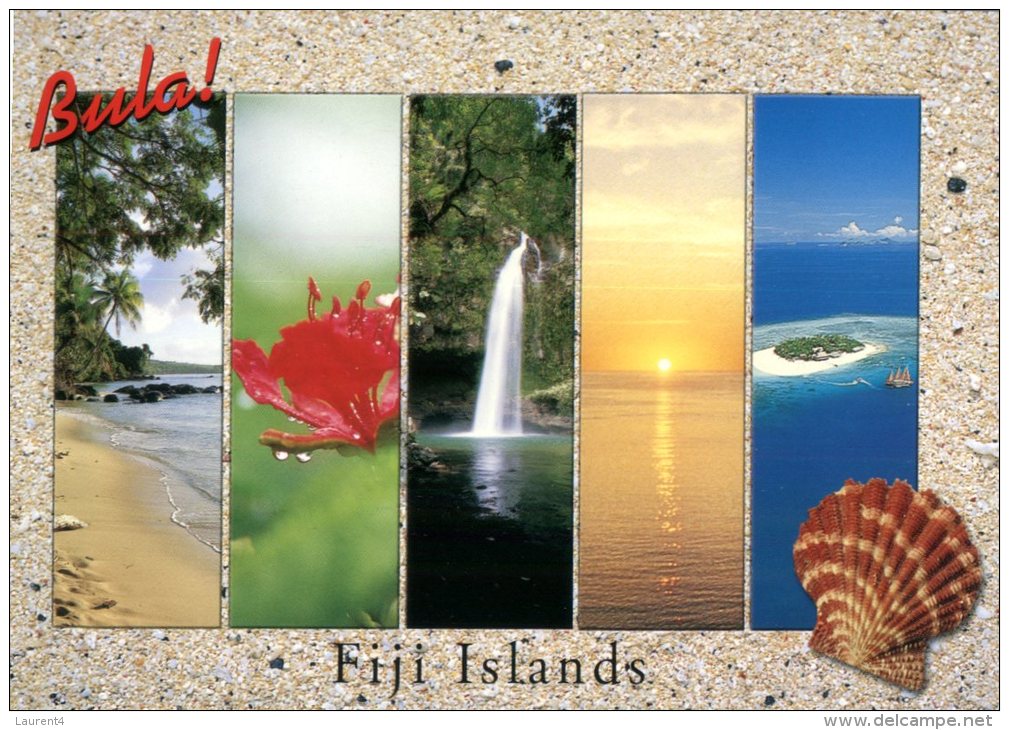 (153) Fiji Island (with Seashell) - Fidji