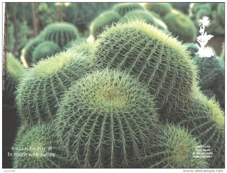 (349) United Arab Emirates - Abu Dhabi Al Ain Wildlife Park - Cactus - Ver. Arab. Emirate