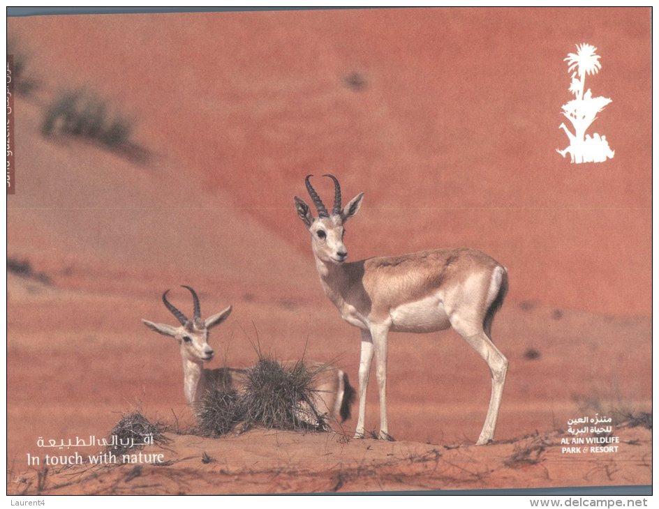 (349) United Arab Emirates - Abu Dhabi Al Ain Wildlife Park - Sand Gazelle - Ver. Arab. Emirate