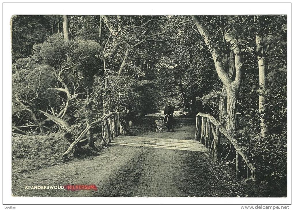 CARTOLINA  - HILVERSUM - PAESAGGIO BOSCHIVO - VIAGGIATA NEL 1912 - SPANDERSWOUD - Hilversum