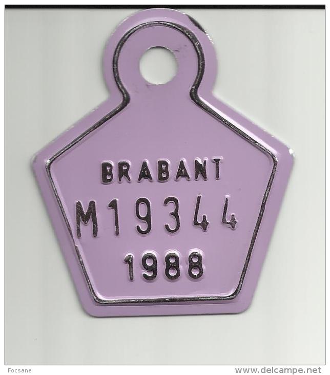 Plaque Vélomoteur Brabant 1988 - Plaques D'immatriculation