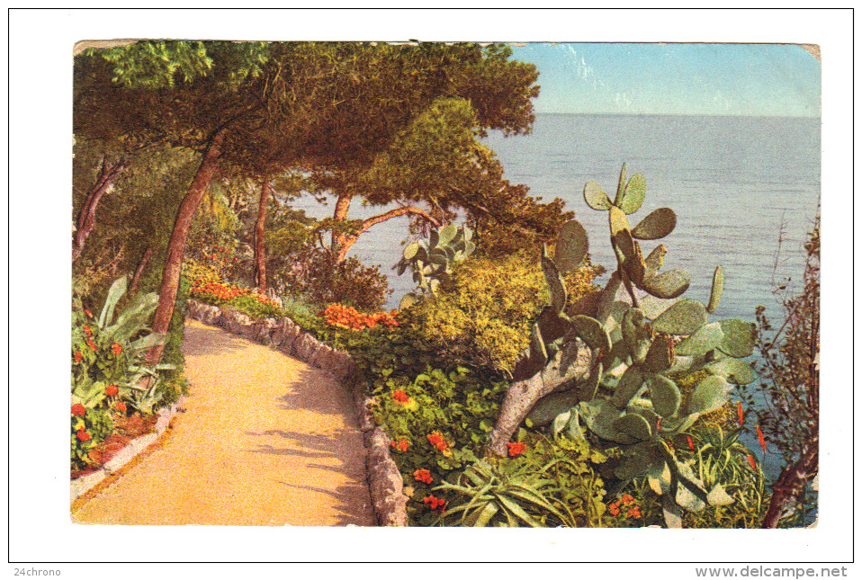 Monaco: Etude, Bord De Mer, Flore Artistique (13-3259) - Jardin Exotique