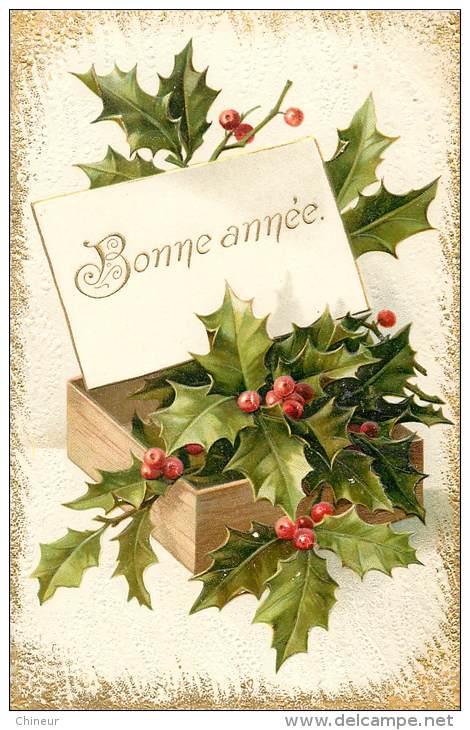 CARTE EN RELIEF  BONNE ANNEE THEME HOUX - Nouvel An