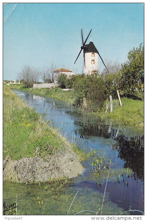 Cp , RÉGIONS , POITOU-CHARENTES , Moulin Dans Les Marais - Poitou-Charentes