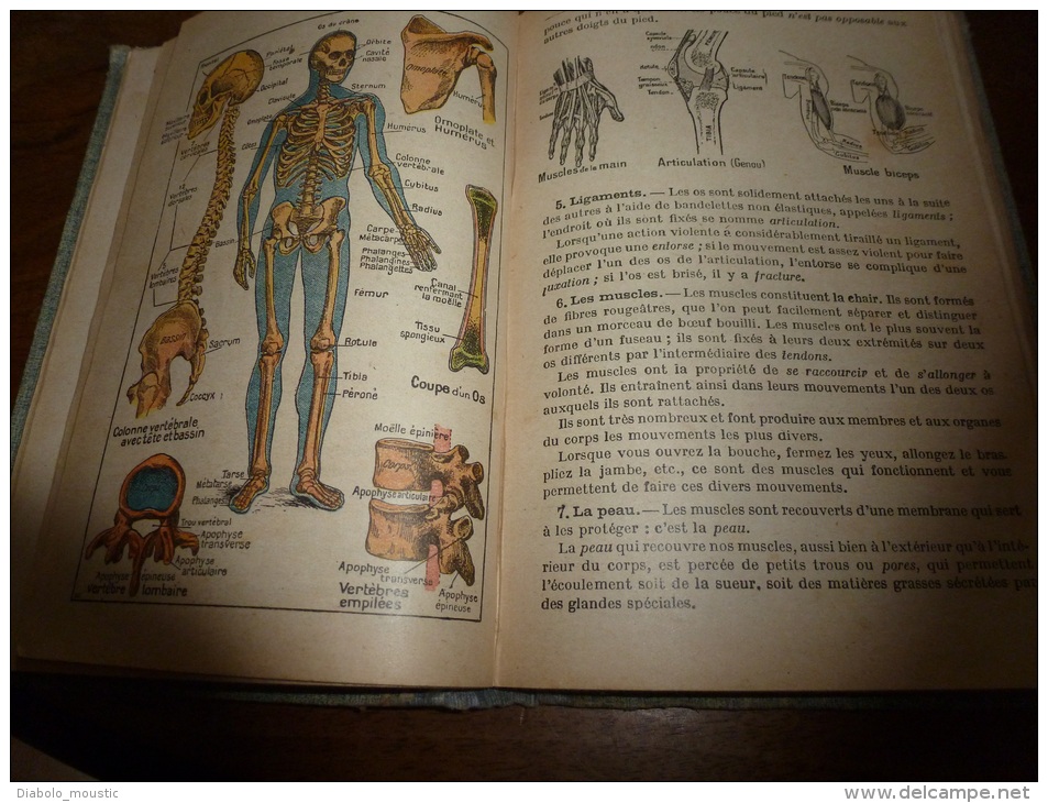 1929 Enseignement Ménager Pour Jeunes Filles:Agriculture,Horticulture,Industrie,Hygiène,Puéricu Lture..Planches Couleurs - 1901-1940