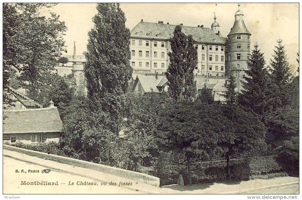 CPA MONTBELIARD 25, Le Château, Vu Des Fossés - Montbéliard