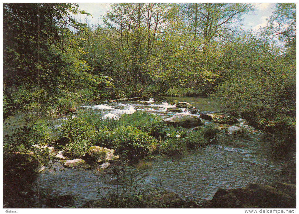 Anloy - La Lesse à Cuy - Libin