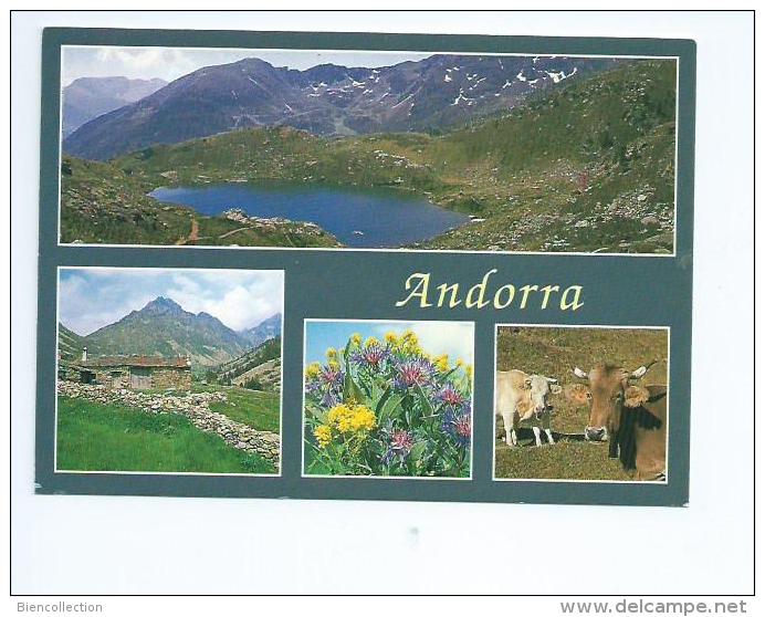 Andorre.timbre Sur Carte Postale Oblitération Encamp - Brieven En Documenten