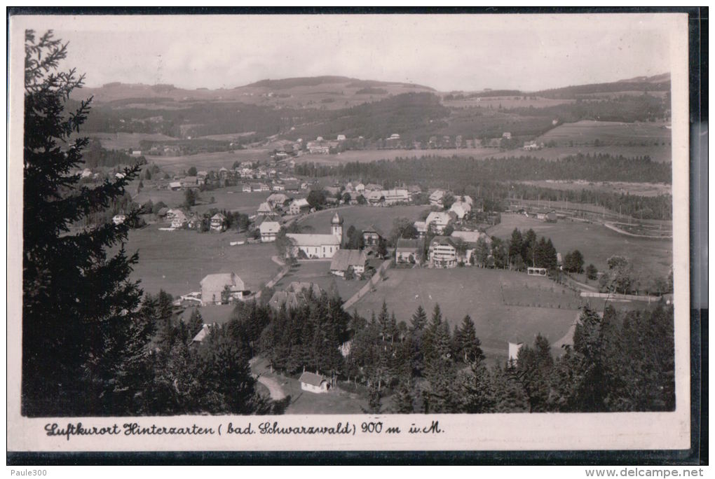 Hinterzarten - Luftkurort - Panorama - Hinterzarten