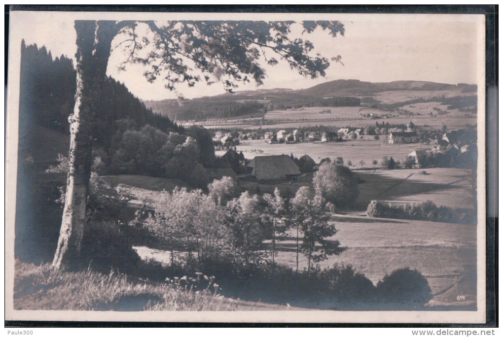 Hinterzarten - Teilansicht - Hinterzarten