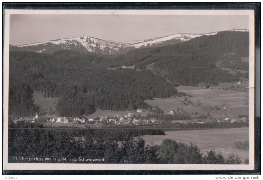 Hinterzarten - Panorama - Schwarzwald - Hinterzarten