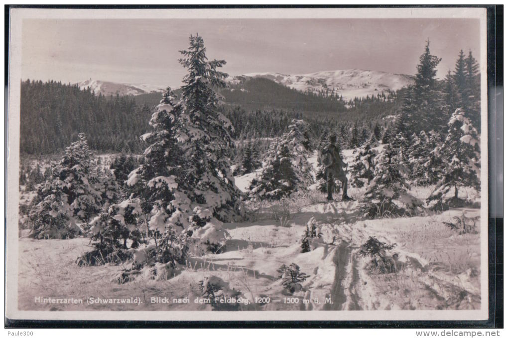 Hinterzarten - Blick Nach Dem Feldberg - Hinterzarten