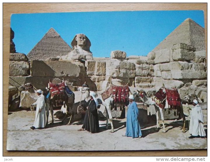 Giza Piramids Camel   /  Egypt - Gizeh