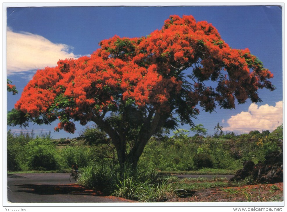 MAURITIUS/ILE MAURICE - FLAMBOYANT / THEMATIC STAMP-BANKNOTES - Mauritius