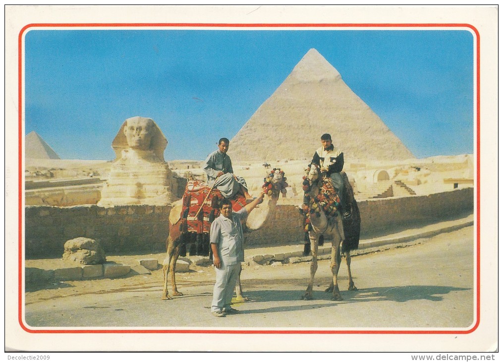 B73632 Giza Camel Drivre Near The Sphinx And Khafre Pyramid   2 Scans - Gizeh