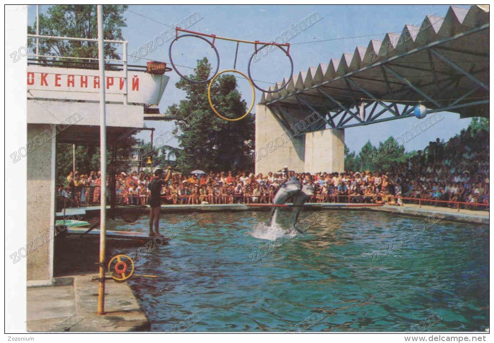 Dolphinarium In Batumi Georgia Dolphin On Russia USSR , Old Postcard - Georgia