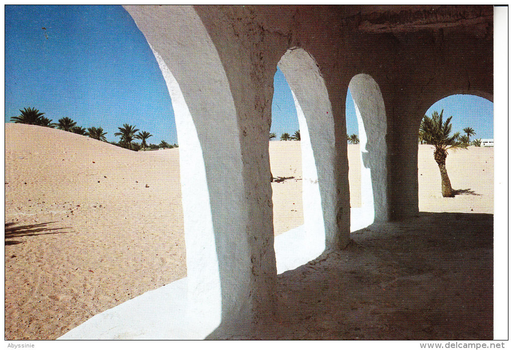 D23 1019 - ALGERIE - OUARGLA - Vue Partielle - Nr 775 - Ouargla