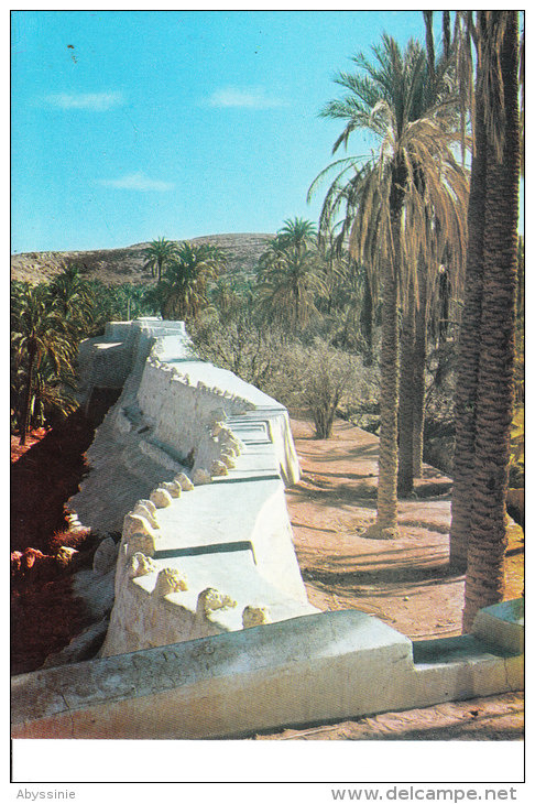 D23 1017 - ALGERIE - GHARDAIA - Le Barrage De Béni Isguen - éditeur à Tlemcen - Ghardaia