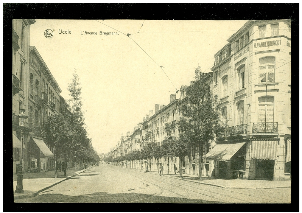 Bruxelles - Uccle (Ukkel) : L'Avenue Brugmann - Uccle - Ukkel