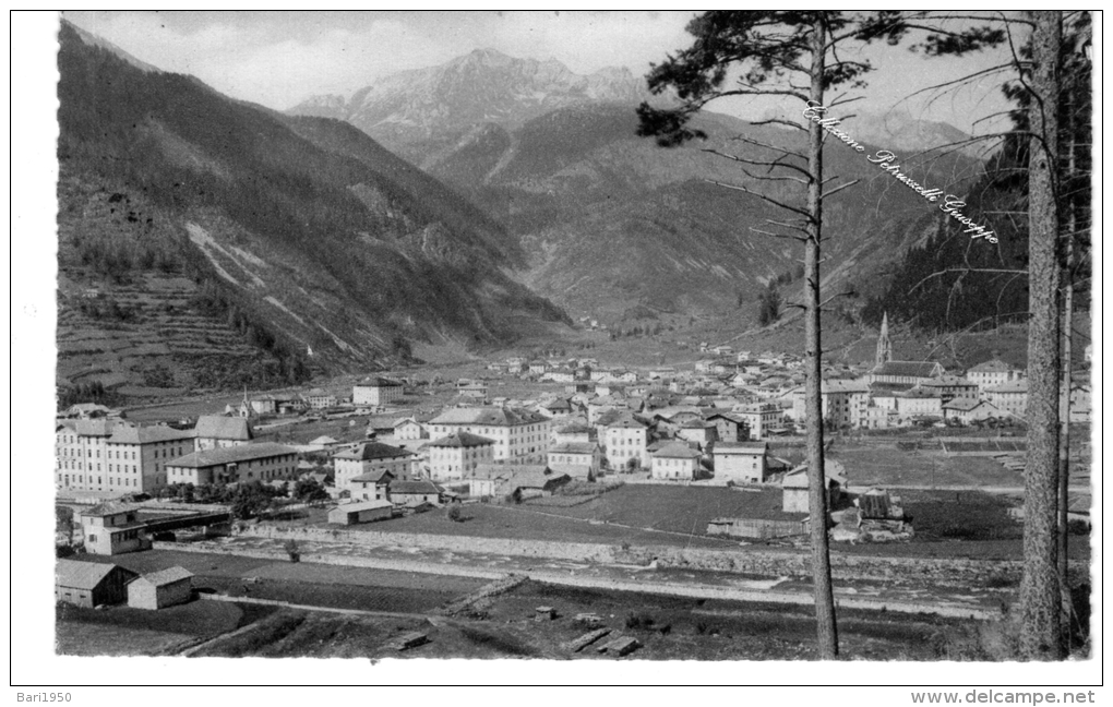 Cartolina D´epoca (Formato Piccolo )   "  PREDAZZO M.1018 - Veduta Generale Con Cima Feudo " - Trento