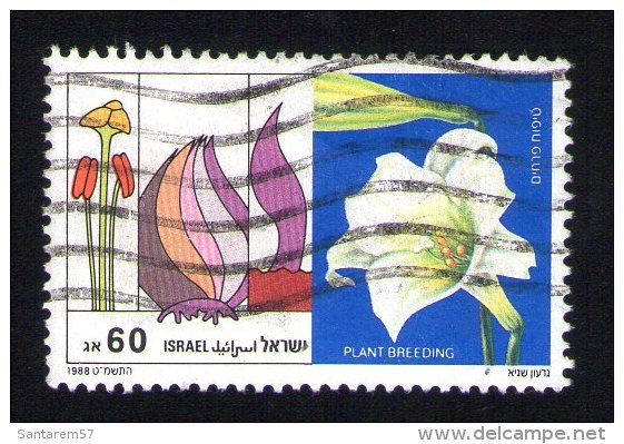 ISRAEL Oblitéré Used Stamp Plant Breeding Sélection Végétal Plantes 1988 - Oblitérés (avec Tabs)