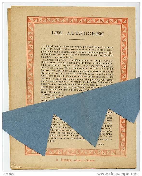 AUTRUCHE ATTELAGE  ZOO Couverture Protège Cahier Le JARDIN D´ ACCLIMATATION / Coll. C. CHARIER SAUMUR - Book Covers