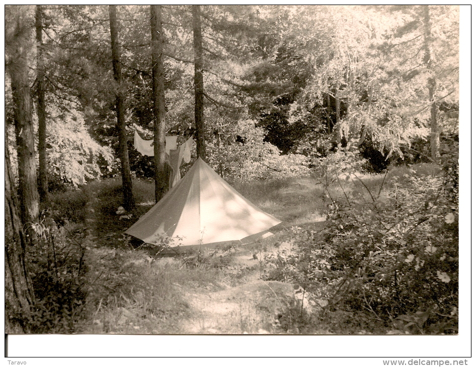 CORSE En Forêt  De VIZZAVONA - Camping Sauvage - 1 Photo Originale De Qualité - Souvenir D'un Voyage En CORSE En 1962 - - Lugares