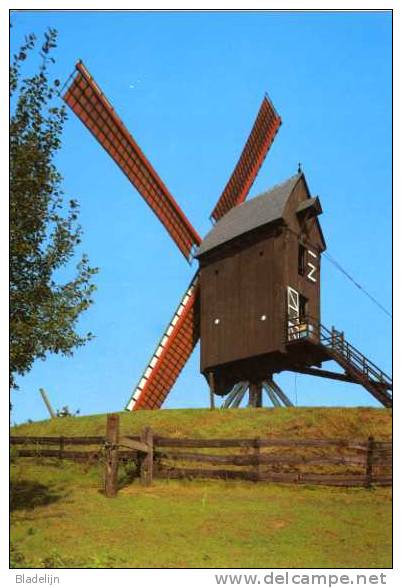 GELRODE Bij Aarschot (Vlaams-Brabant) - Molen/moulin - De Moedermeule In Werking Kort Na De Restauratie Van 1976. TOP ! - Aarschot