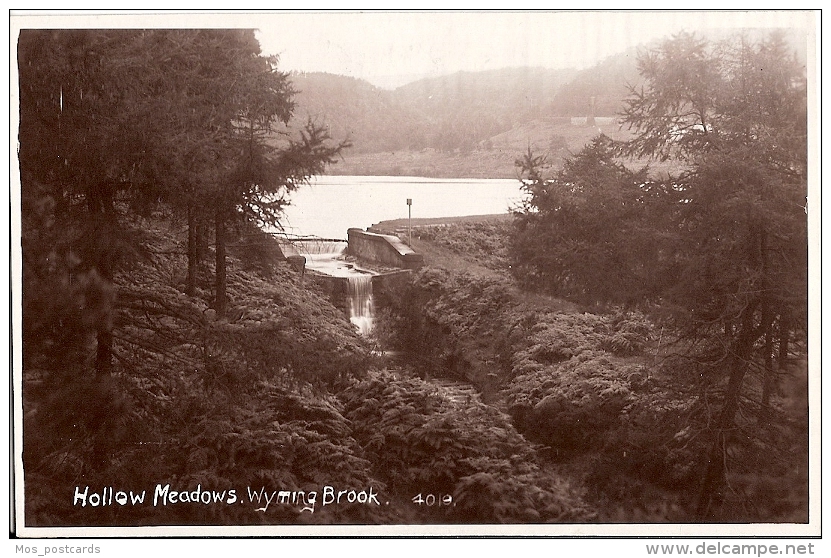 Yorkshire Postcard - Hollow Meadows, Wyming Brook    E536 - Autres & Non Classés