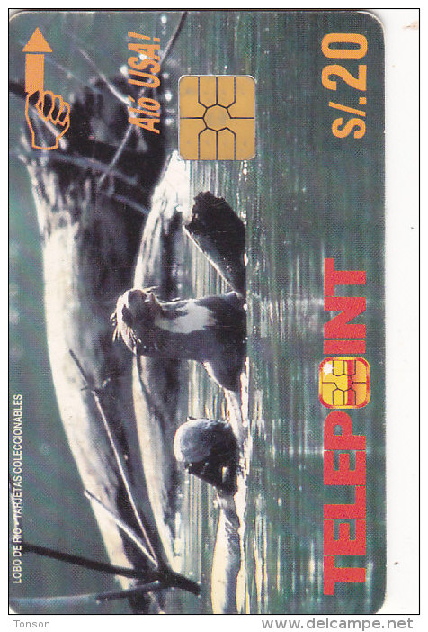 Peru, PER-TE-065 , Lobo Del Rio Otter, 2 Scans . - Perù