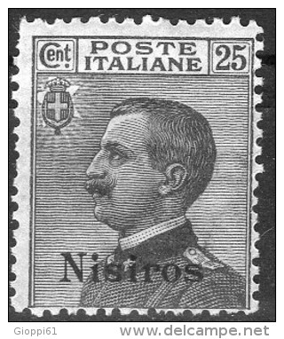 1912 Nisiro - Francobolli D´Italia Soprastampati 25 C - Aegean (Nisiro)