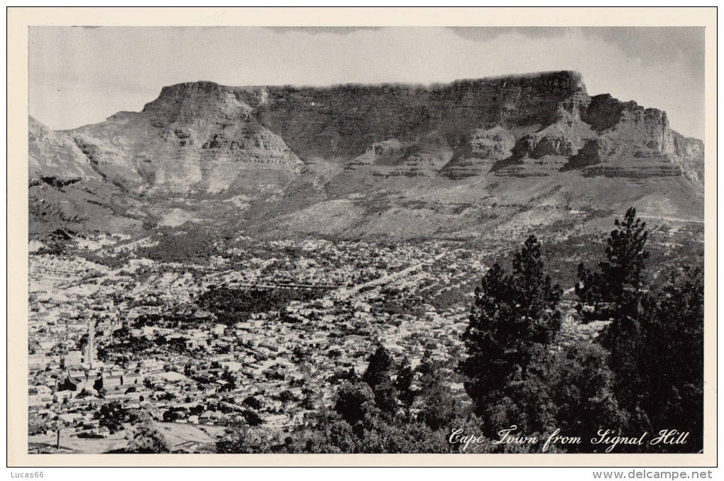 C1950 CAPE TOWN FROM SIGNAL HILL - Afrique Du Sud