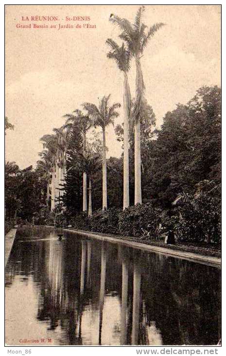 974  - LA REUNION -  SAINT- DENIS - Grand Bassin Dans Le Jardin De L´état - Cpa Précurseur - Saint Denis